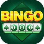 Bingo 101 Logo