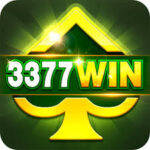 3377 WIN Logo