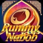 New App Lunch Logo